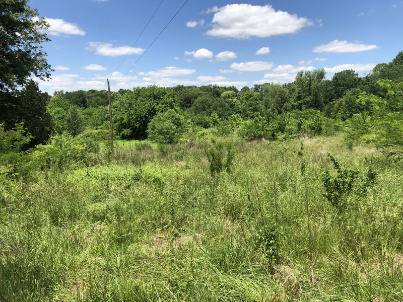 300 Tom Link Rd, Cottontown, TN 37048