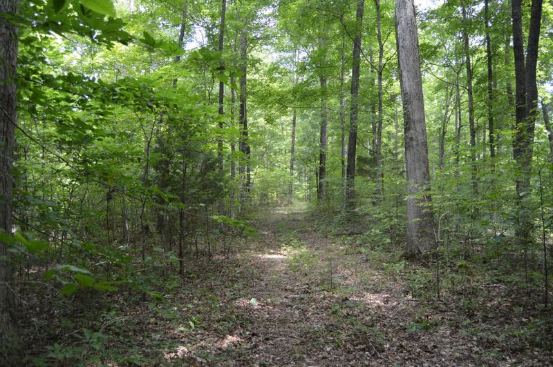 0 Buck Branch Rd, Charlotte, TN 37036