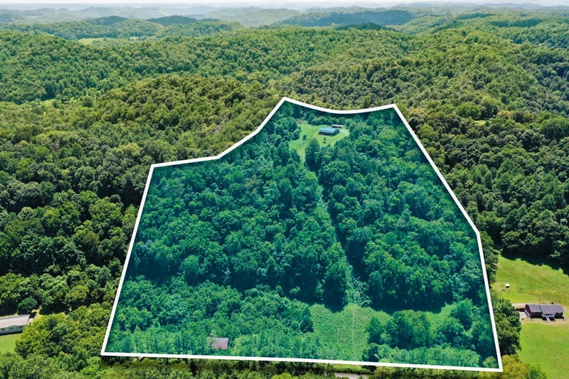 39 Sloan Branch Hill Ln, Pleasant Shade, TN 37145