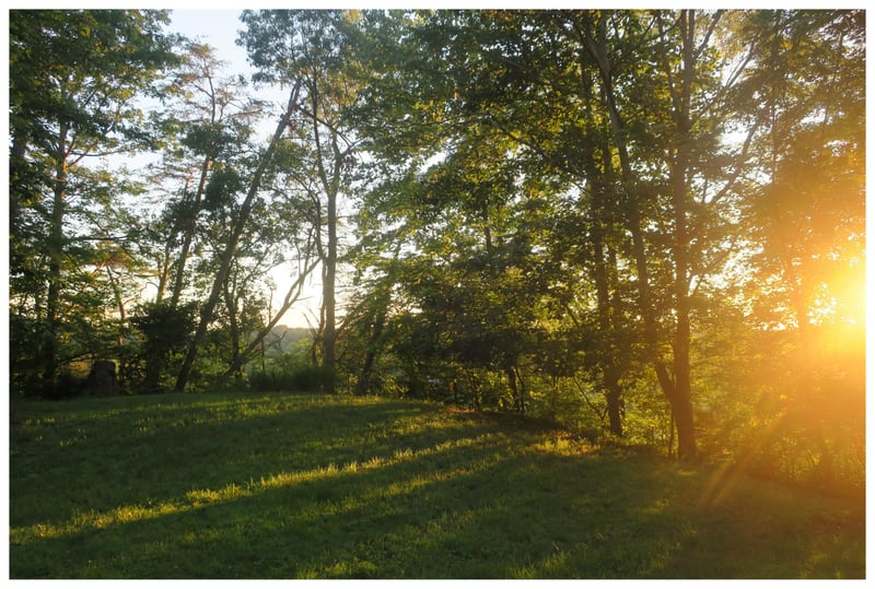 0 E Kingston Springs Rd, Pegram, TN 37143