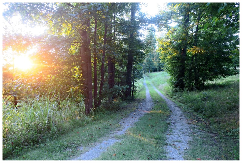 0 E Kingston Springs Rd, Pegram, TN 37143