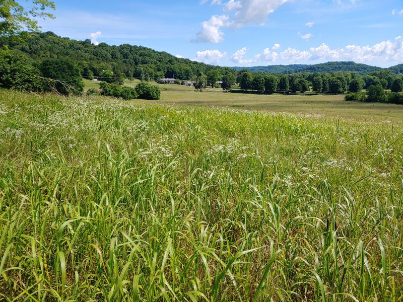 3066 Carters Creek Pk, Franklin, TN 37064