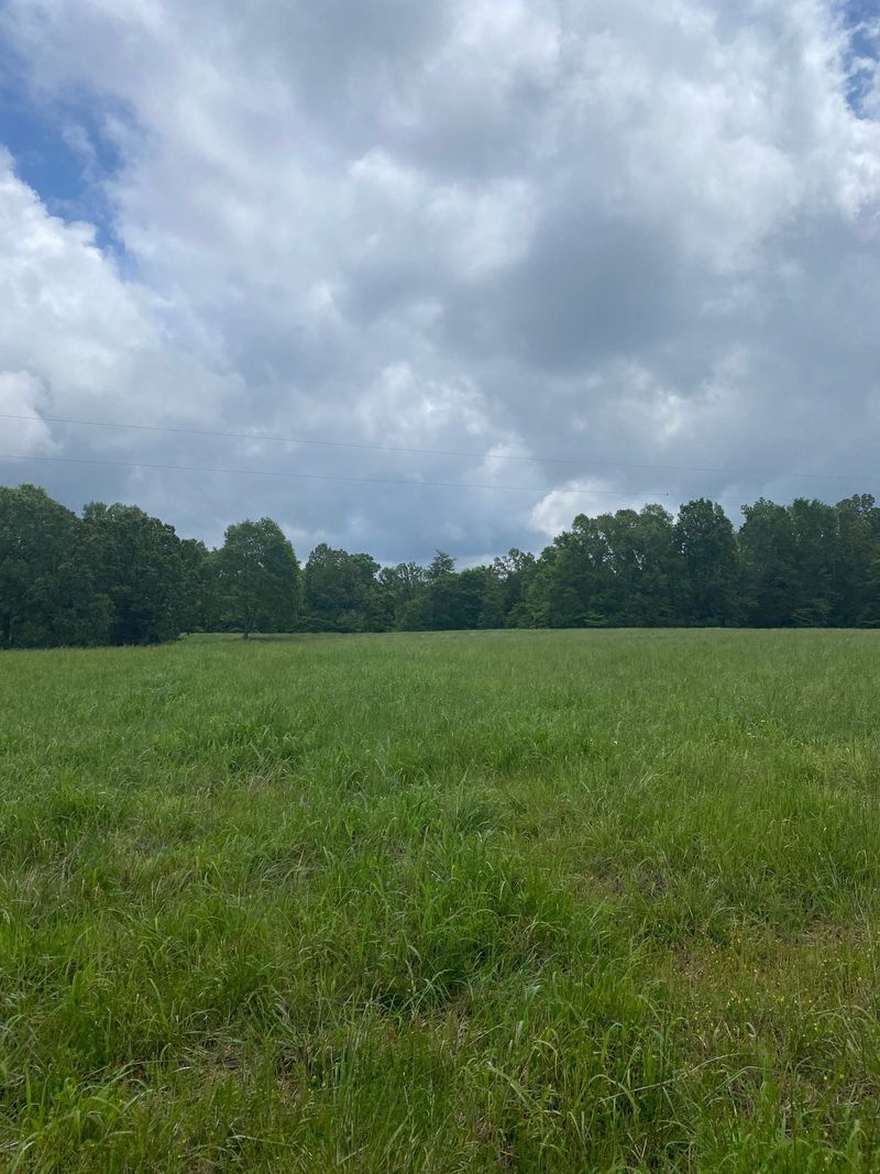 0 Slaydenwood Rd, Vanleer, TN 37181