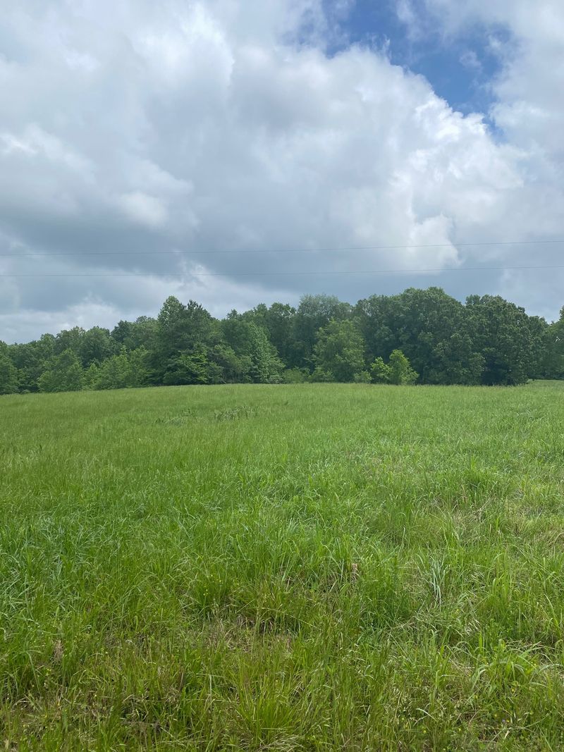 0 Slaydenwood Rd, Vanleer, TN 37181