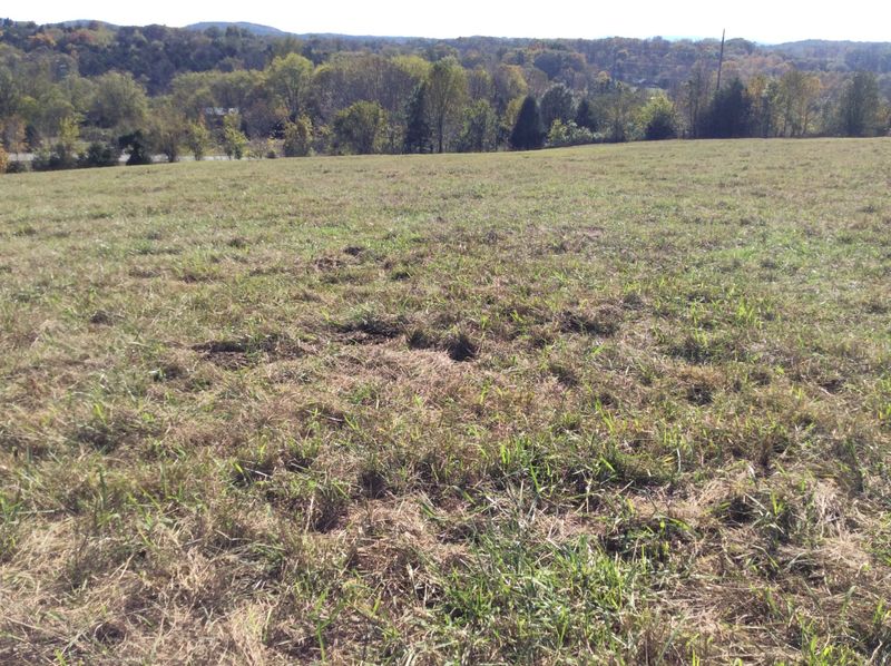 0 Haley Ln, College Grove, TN 37046