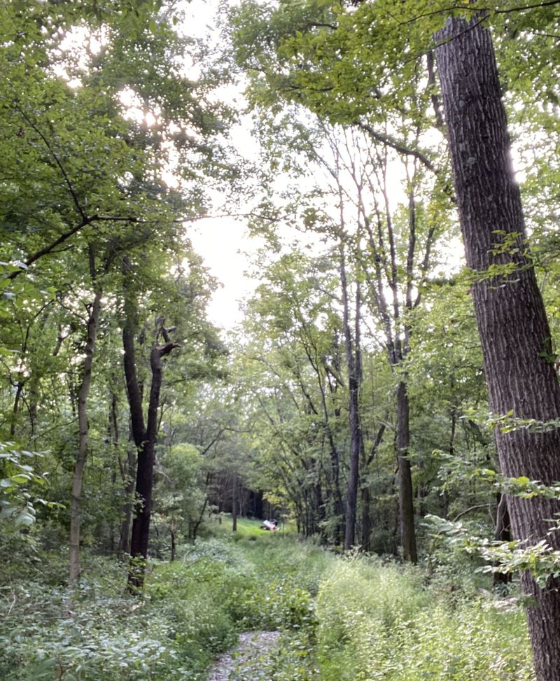0 Glidewell Rd, Cross Plains, TN 37049