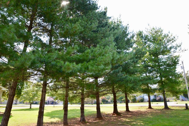 6082 Creekmont Dr, Murfreesboro, TN 37129