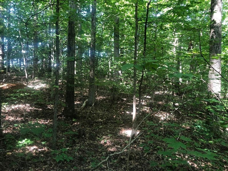 0 Heights Cir, Greenbrier, TN 37073