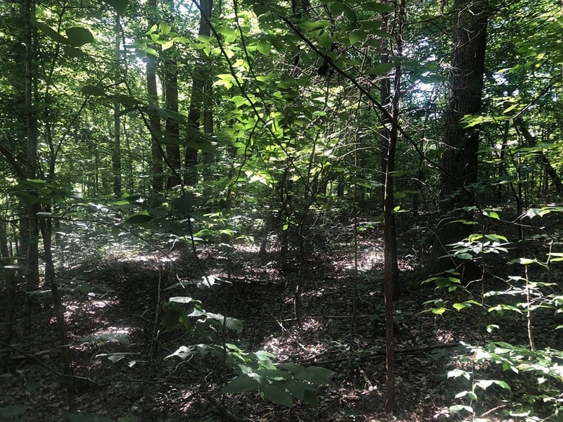 0 Heights Cir, Greenbrier, TN 37073