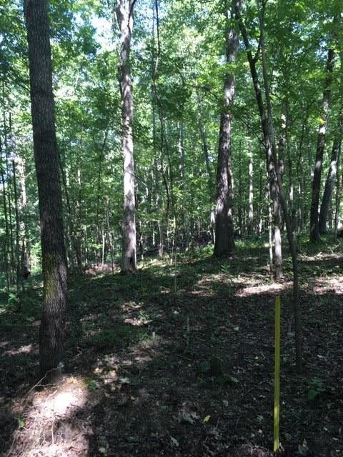 3 Greenbrier Rd, Franklin, TN 37064