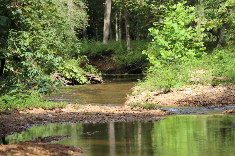 7368 Brush Creek Rd, Fairview, TN 37062