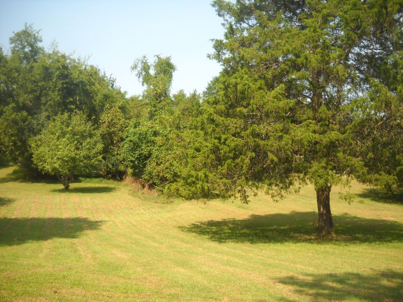 1193 Clemmons Rd, Mount Juliet, TN 37122