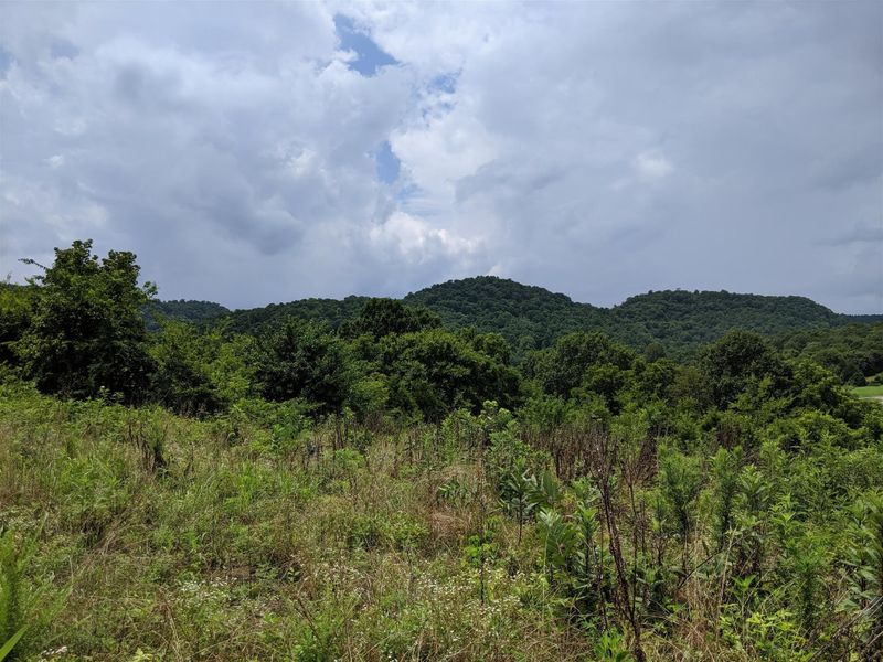 0 Sutton Ln, Pleasant Shade, TN 37145