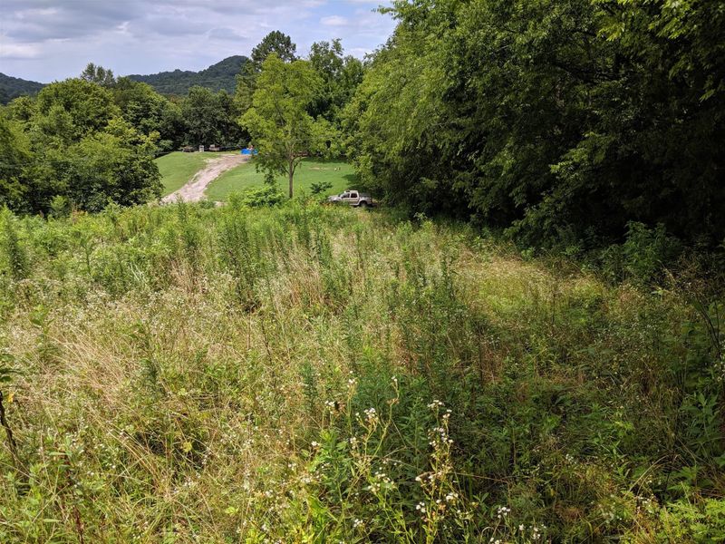 0 Sutton Ln, Pleasant Shade, TN 37145