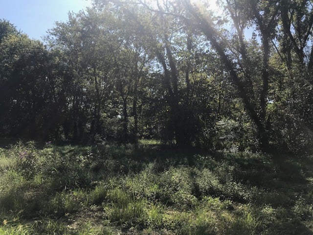 0 Arbor Dr, Castalian Springs, TN 37031