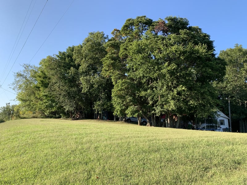 3162 Nobles Way, White House, TN 37188