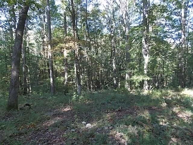 0 Tom Rail Rd, Santa Fe, TN 38482