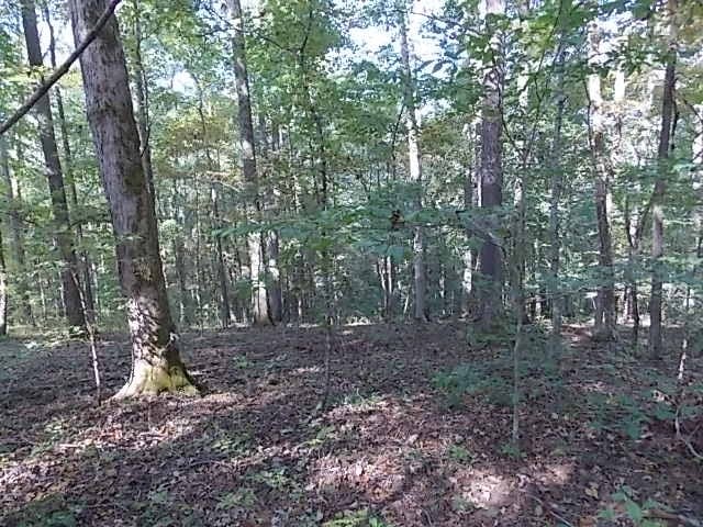 0 Tom Rail Rd, Santa Fe, TN 38482