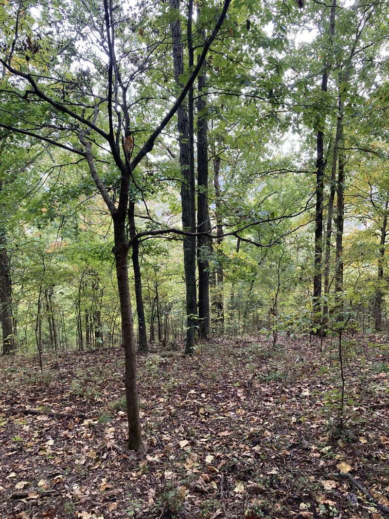 4861 Mccool Rd, Nashville, TN 37218