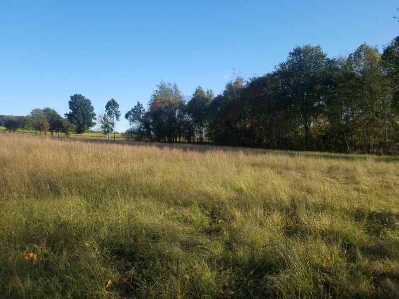 5308 Minnis Rd, Springfield, TN 37172