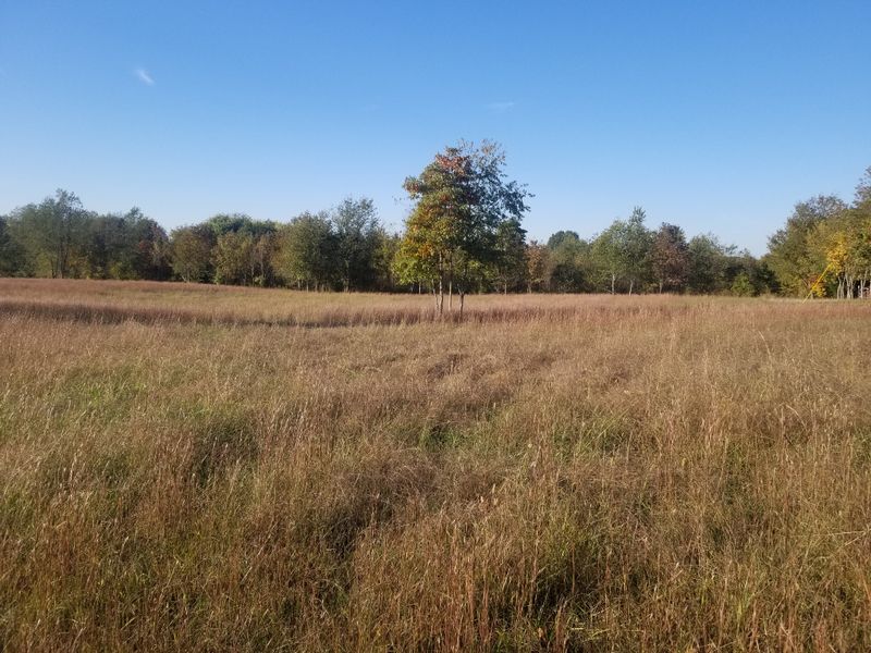5308 Minnis Rd, Springfield, TN 37172
