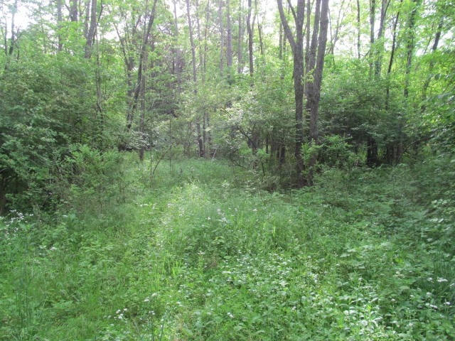 3035 Earhart Rd, Hermitage, TN 37076