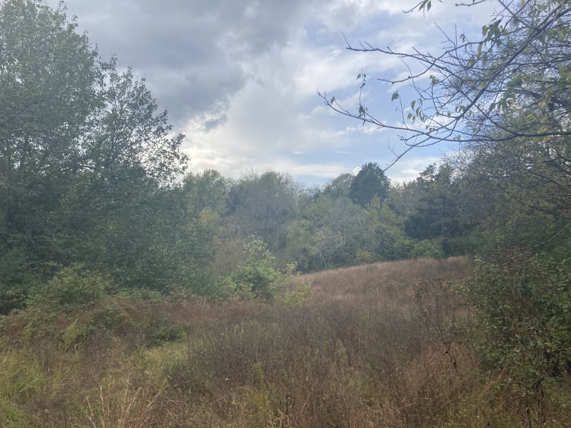 0 Albright Ln, Gallatin, TN 37066