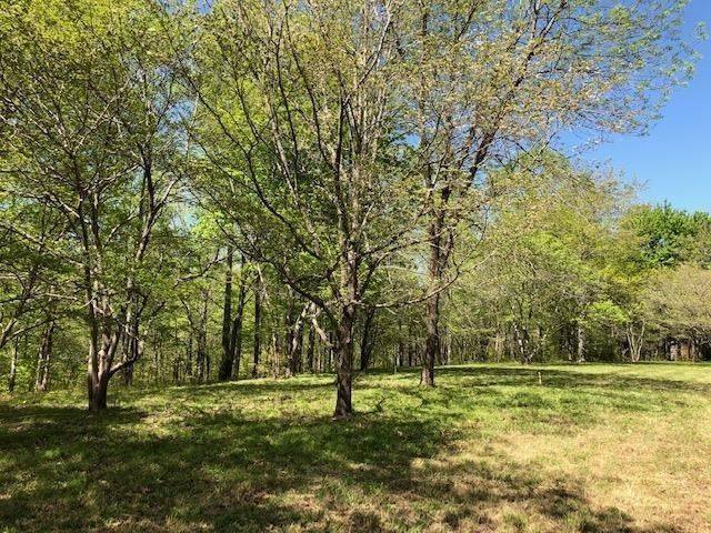 0 Fisher Rd 7950, Primm Springs, TN 38476