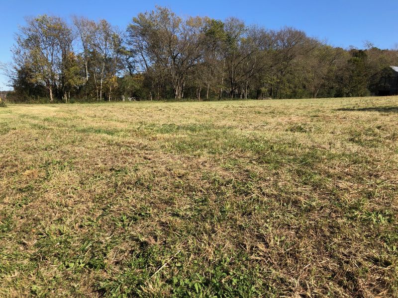8501 Williams Hollow Rd, Mount Pleasant, TN 38474