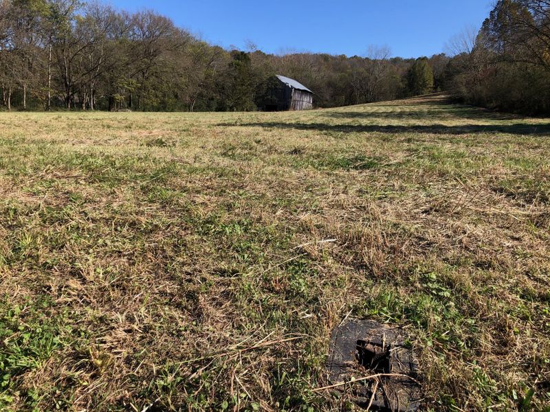 8501 Williams Hollow Rd, Mount Pleasant, TN 38474