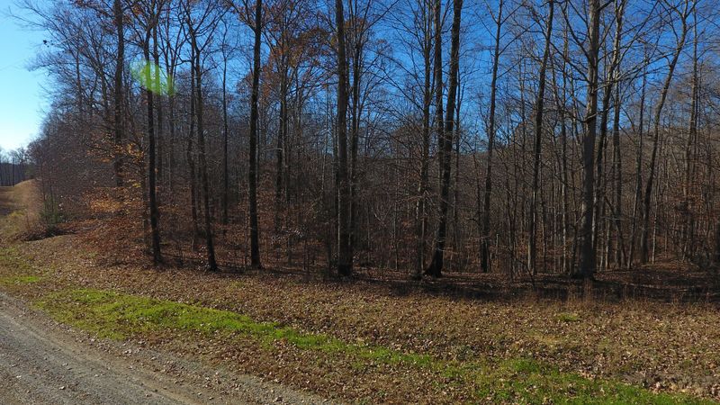 16 Carter Ln, Franklin, TN 37064