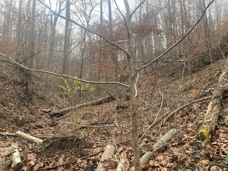 0 Indian Springs Rd Off, Pegram, TN 37143