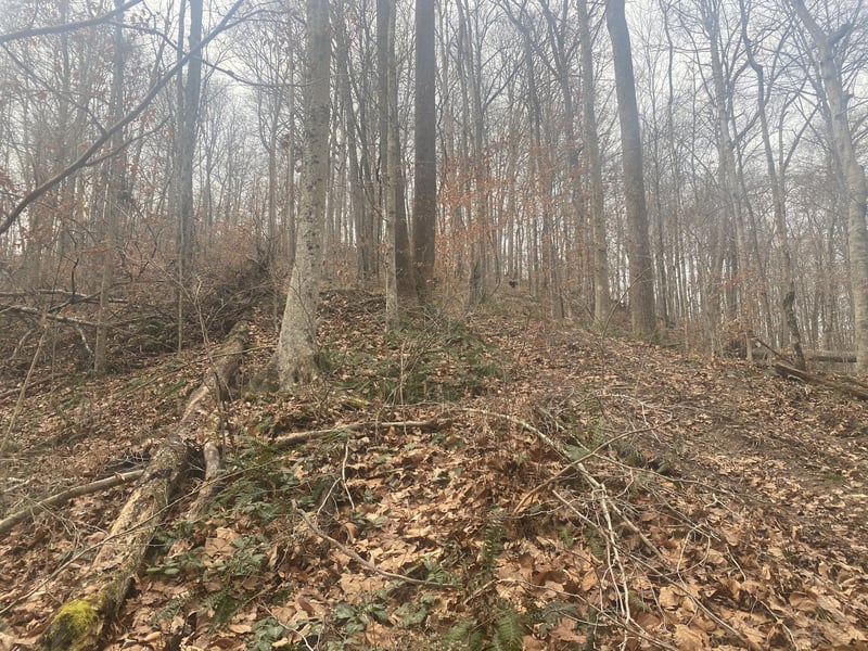 0 Indian Springs Rd Off, Pegram, TN 37143
