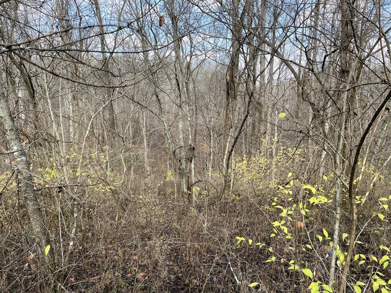 0 Hwy 70, Kingston Springs, TN 37082