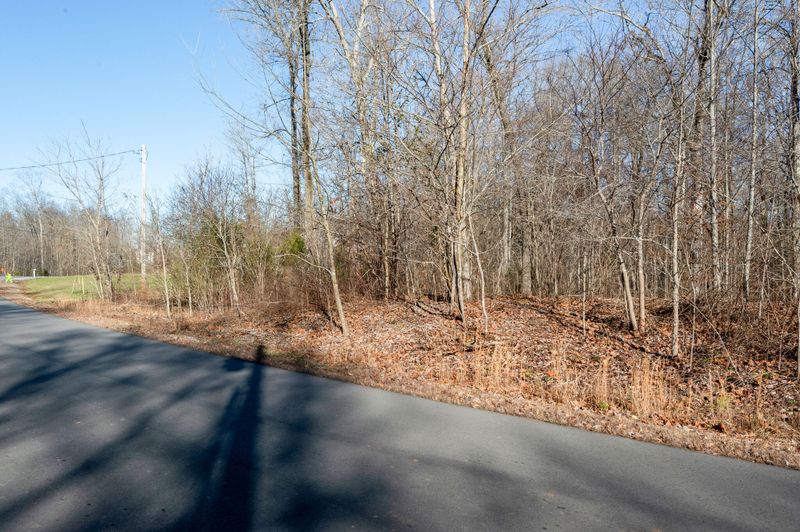 16 Delacy Dr, Fairview, TN 37062