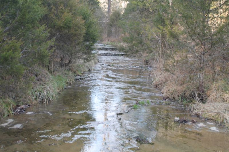 0 Nickajack Rd, Pleasant Shade, TN 37145