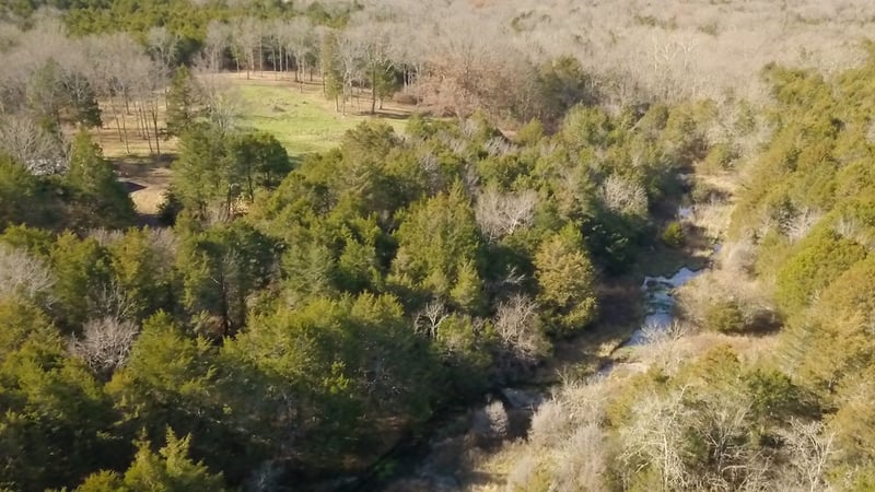 0 Elrod Mcelroy Rd, Milton, TN 37118
