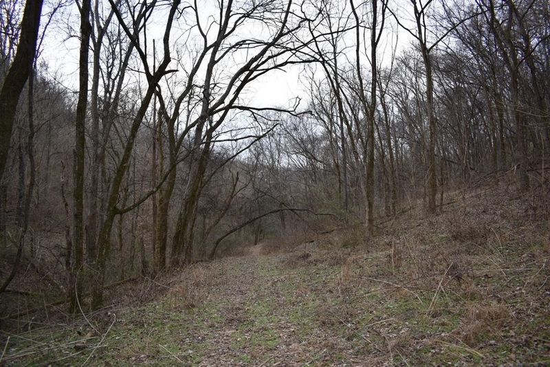 0 Carter Ln, Carthage, TN 37030