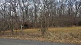 0A Paul Thompson Rd, Bethpage, TN 37022
