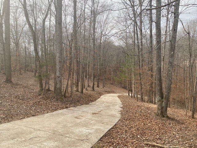 1544 Cc Rd, Kingston Springs, TN 37082