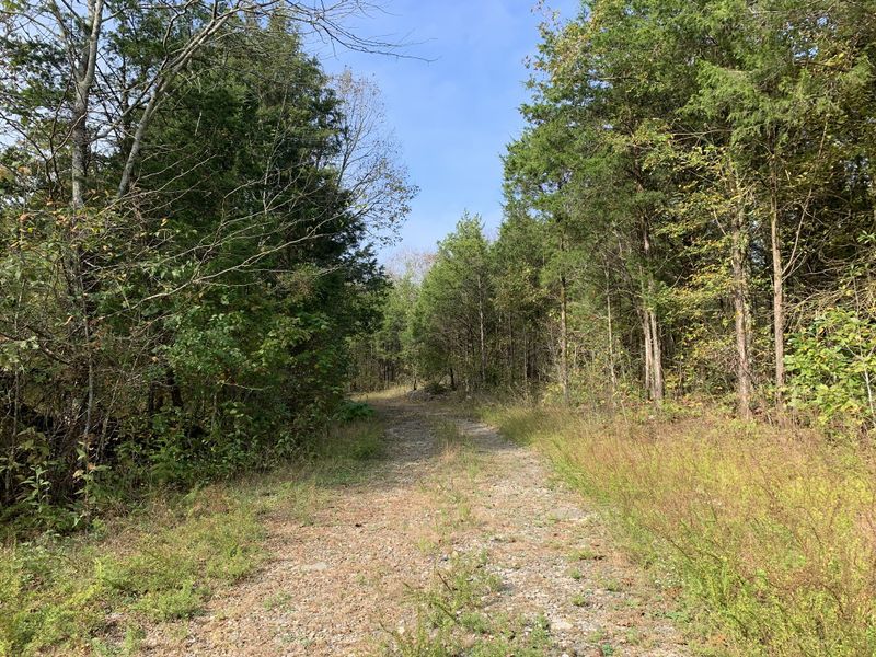 0 Hill Rd, Rockvale, TN 37153