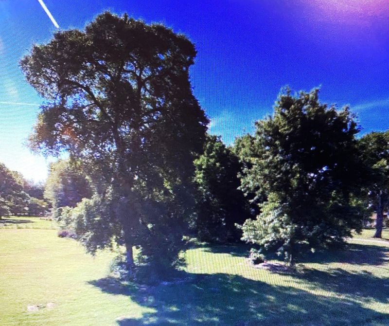 615 Shelley Dr, Mount Juliet, TN 37122