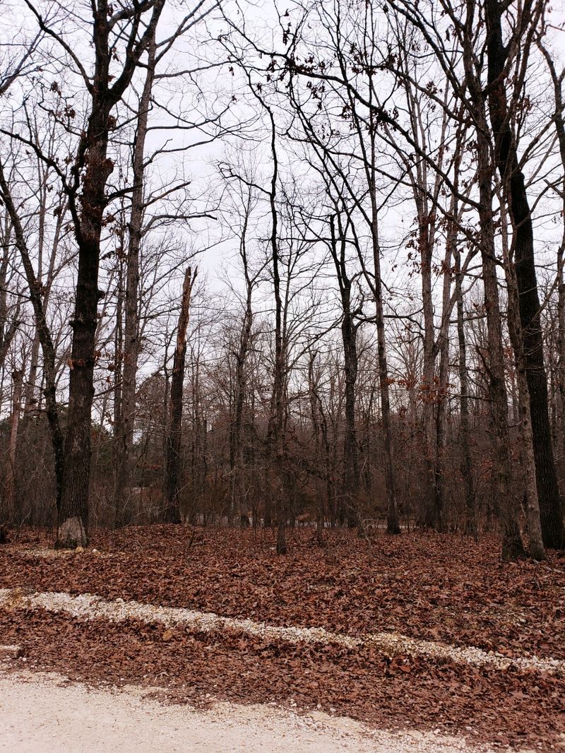 0 E Humphreys Co Line Rd, Dickson, TN 37055