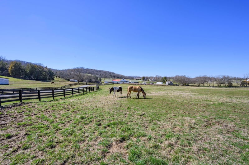 7382 Magnolia Valley Dr, Eagleville, TN 37060