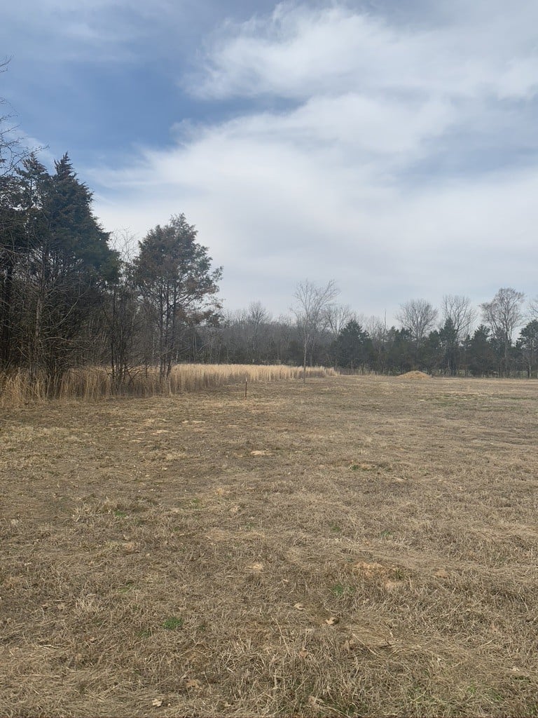 0 W Trimble Rd, Milton, TN 37118