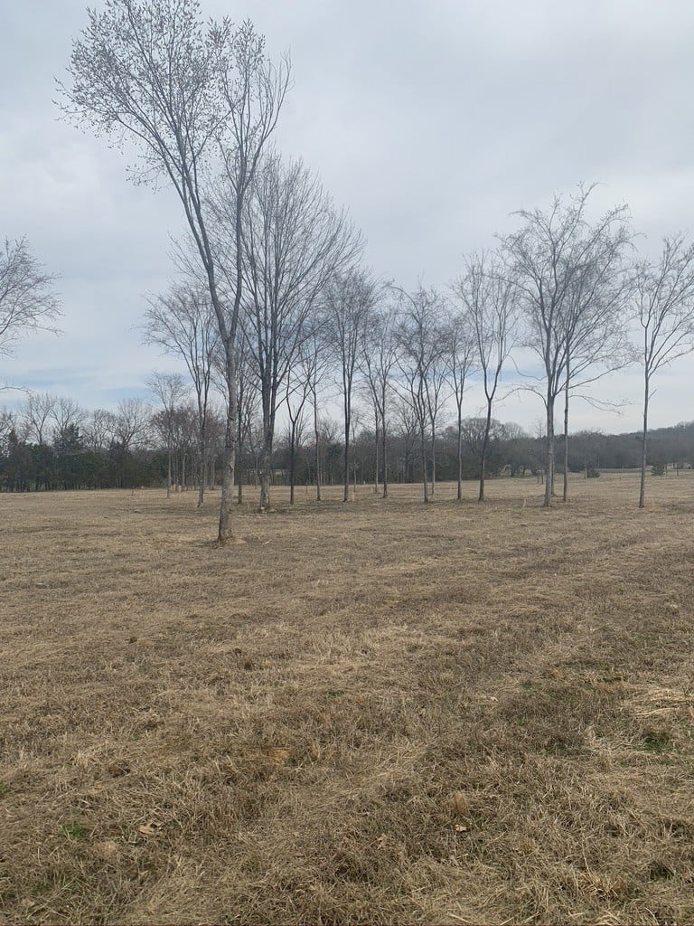 0 W Trimble Rd, Milton, TN 37118