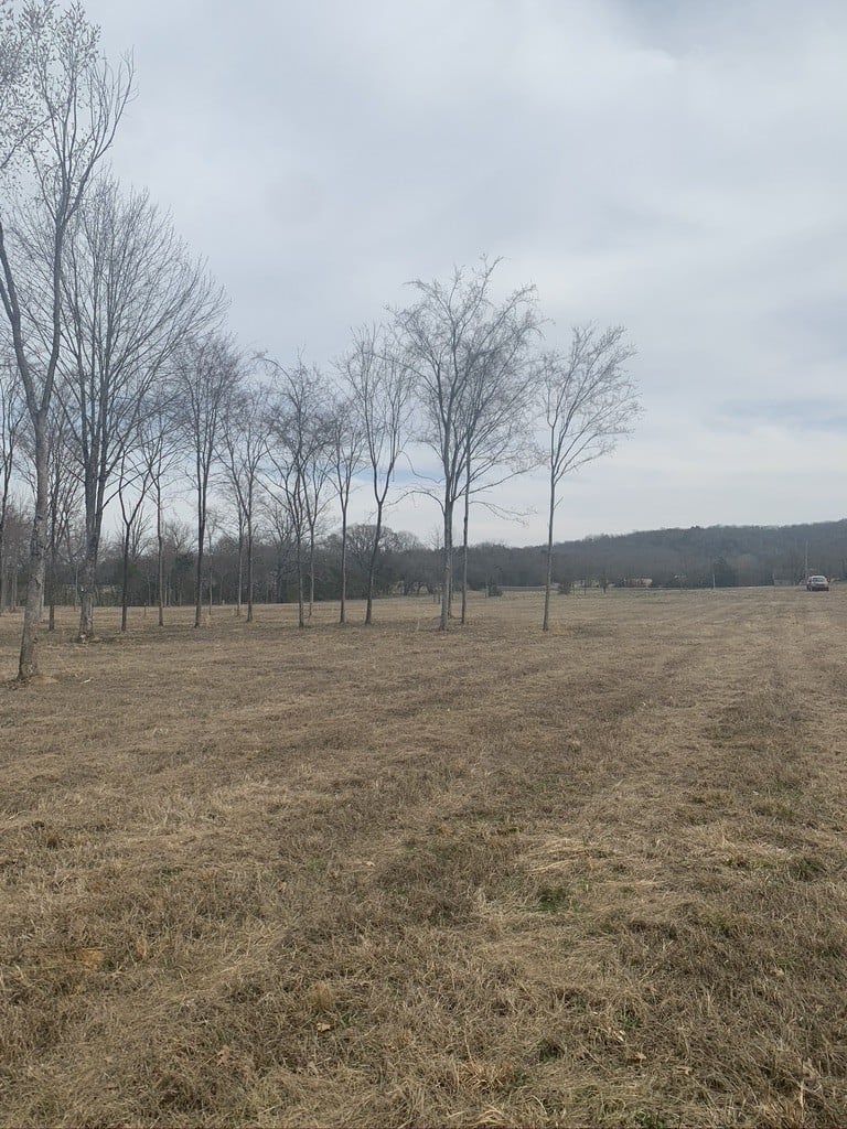 0 W Trimble Rd, Milton, TN 37118