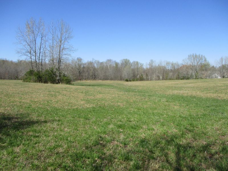 7309 Crow Cut Rd, Fairview, TN 37062