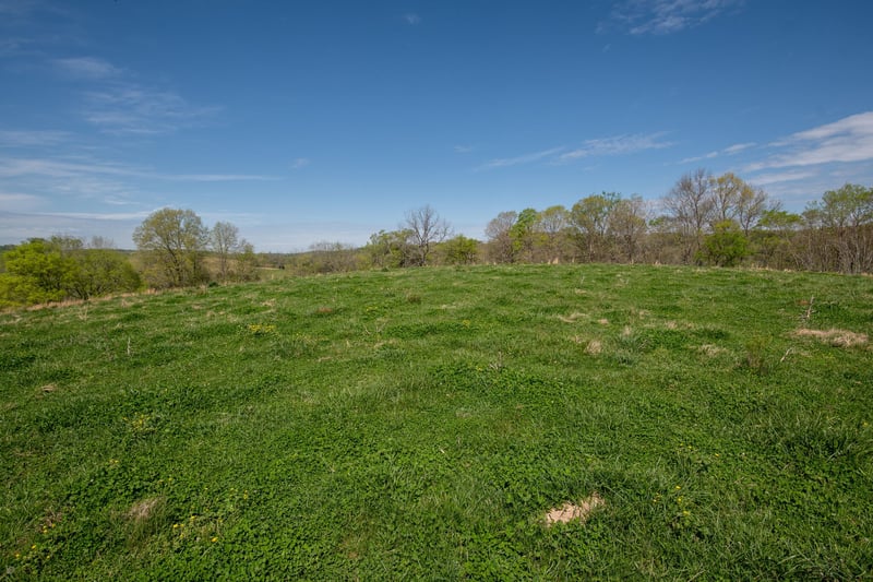 4186 Catheys Creek Rd, Hampshire, TN 38461