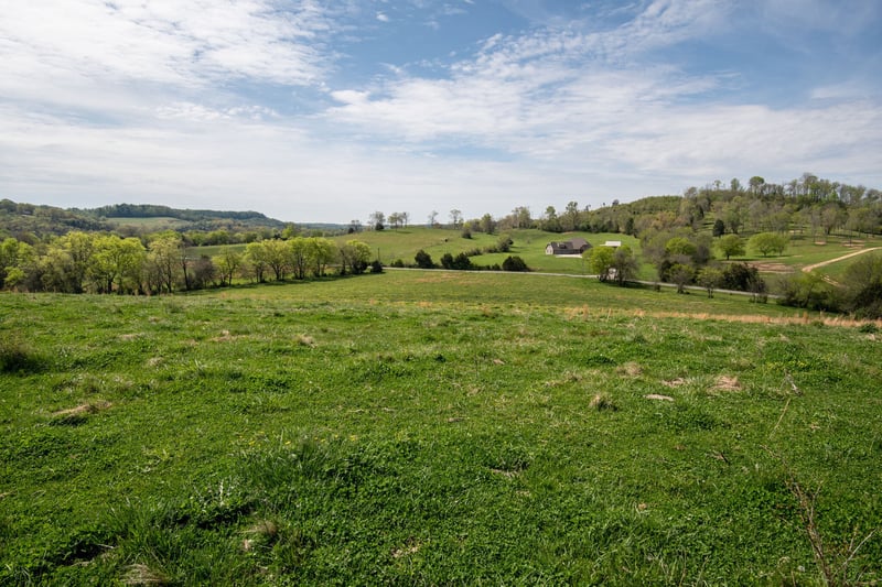 4186 Catheys Creek Rd, Hampshire, TN 38461